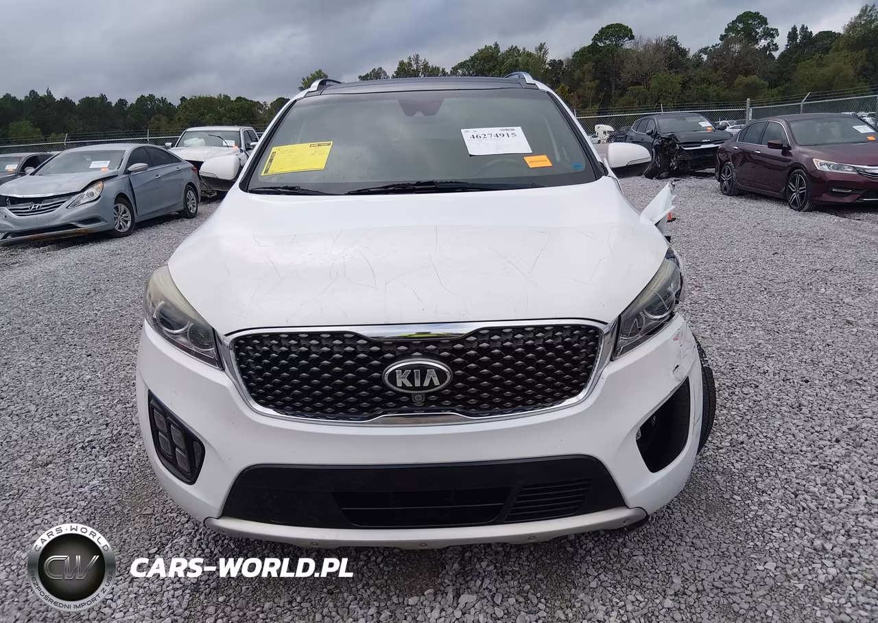 2017 Kia Sorento 3.3L Ex-3.3L Sx-3.3L Sxl VIN:5XYPKDA50HG325487 - 12