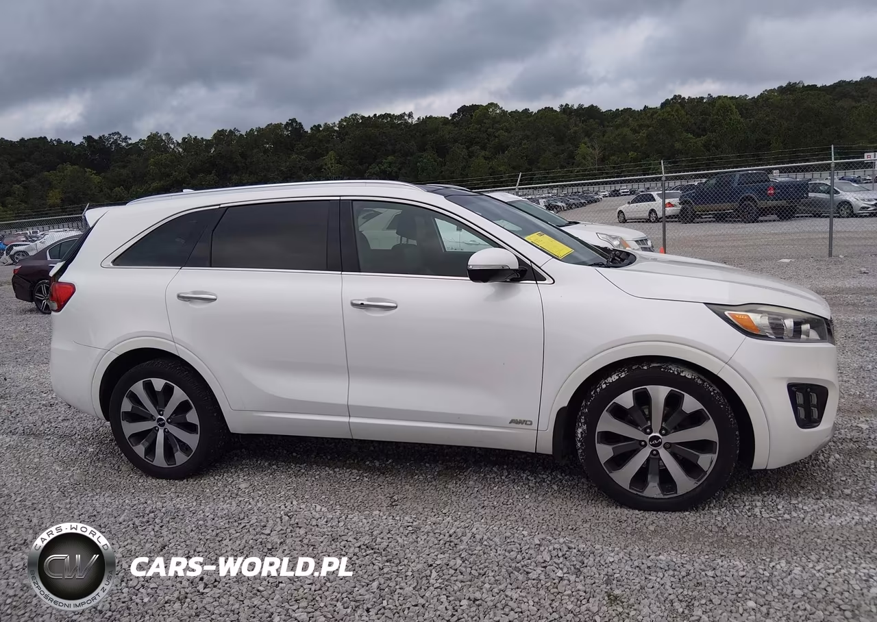 2017 Kia Sorento 3.3L Ex-3.3L Sx-3.3L Sxl VIN:5XYPKDA50HG325487 - 13