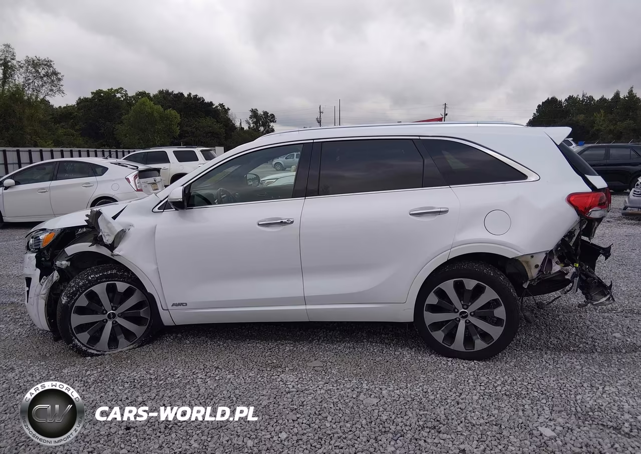 2017 Kia Sorento 3.3L Ex-3.3L Sx-3.3L Sxl VIN:5XYPKDA50HG325487 - 14