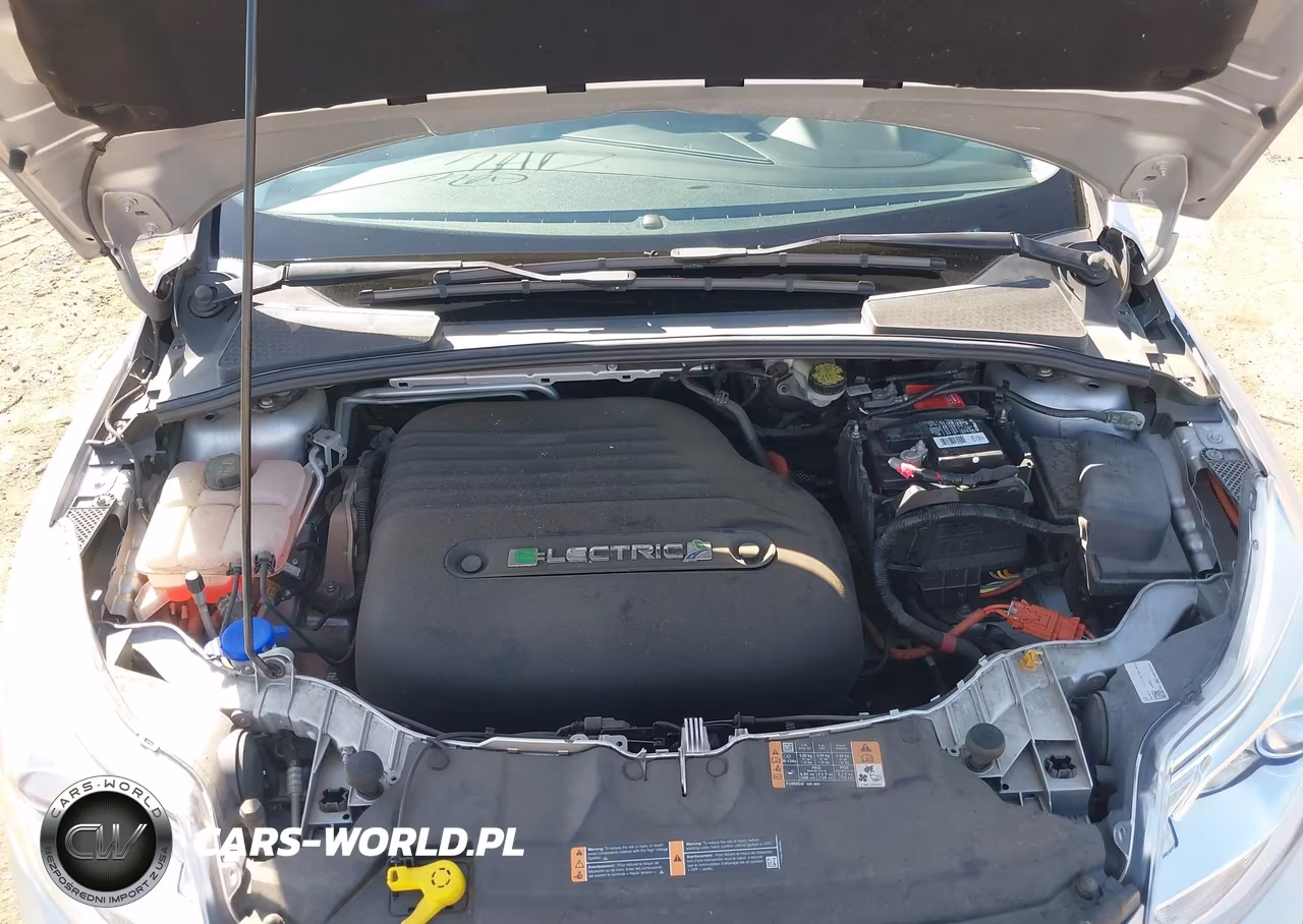 2016 Ford Focus Electric VIN:1FADP3R46GL319387 - 10
