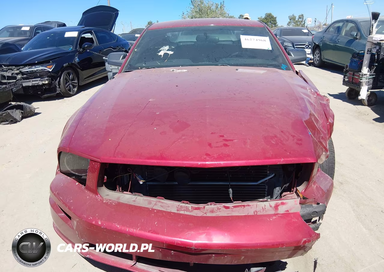 2006 Ford Mustang Gt VIN:1ZVFT82H865265406 - 12