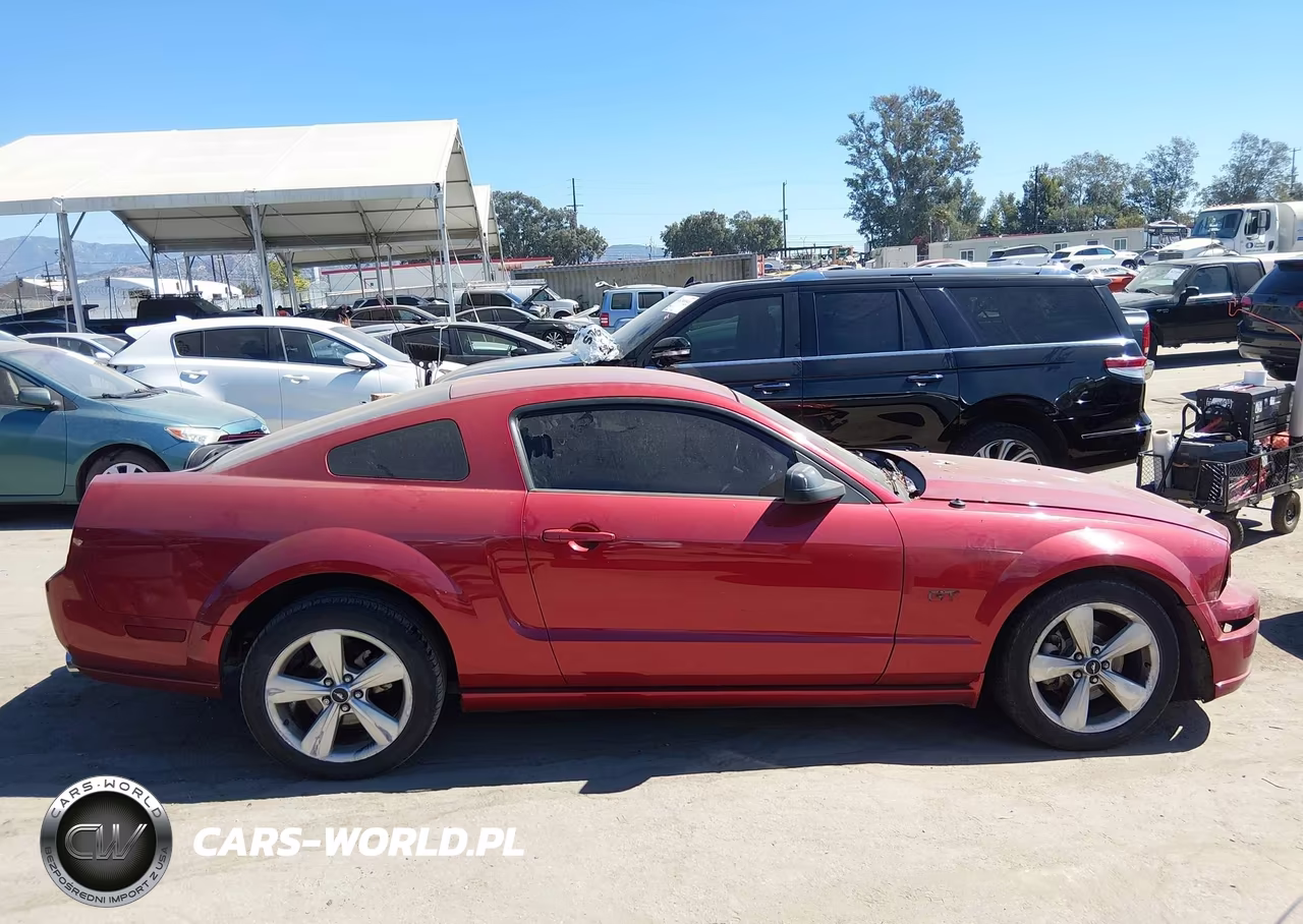 2006 Ford Mustang Gt VIN:1ZVFT82H865265406 - 13