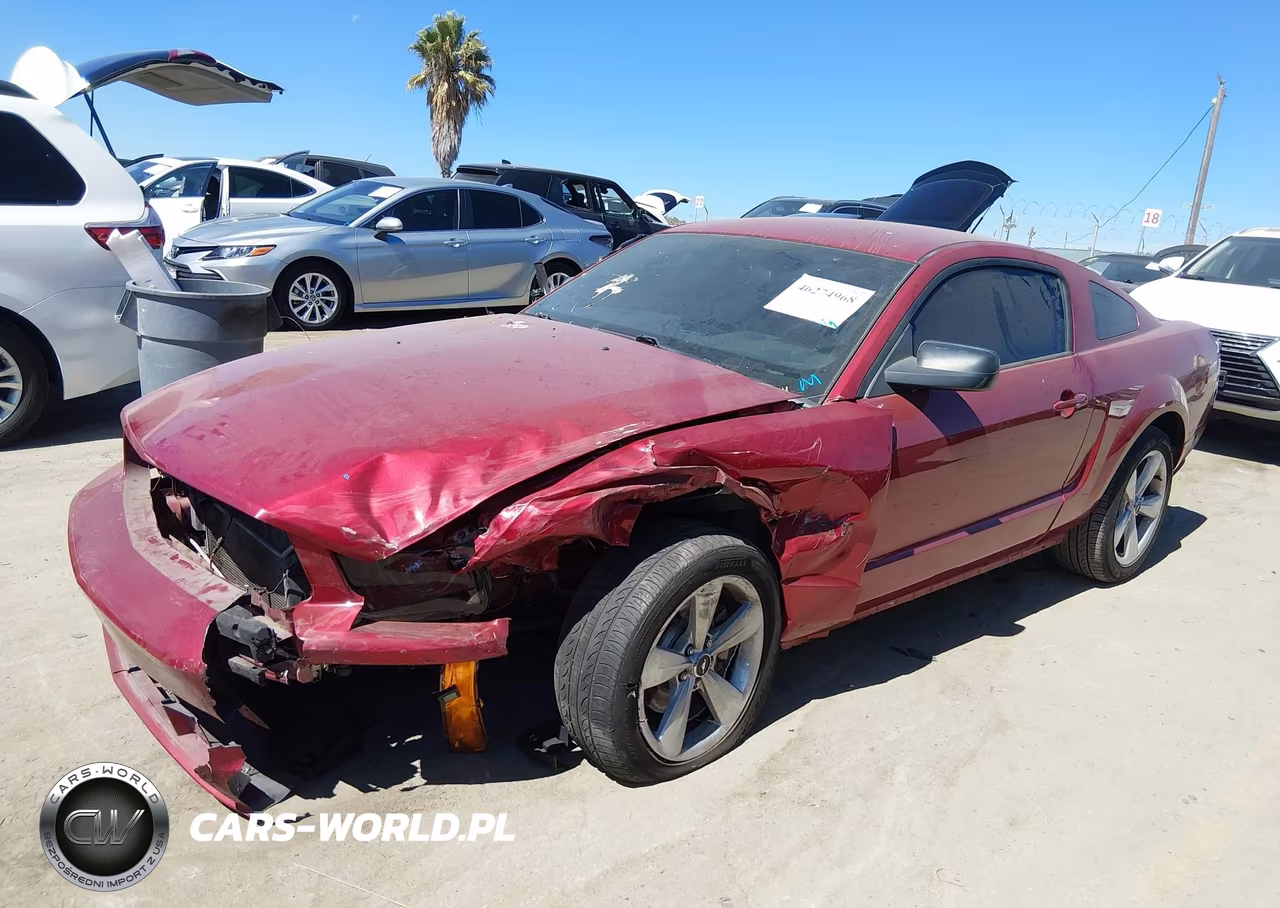 2006 Ford Mustang Gt VIN:1ZVFT82H865265406 - 2