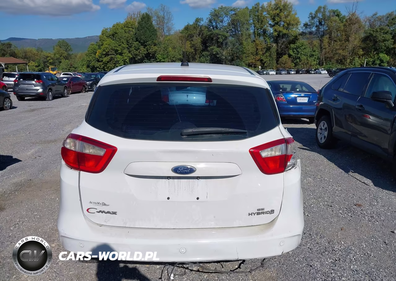 2013 Ford C-Max Energi Sel VIN:1FADP5CUXDL519270 - 17