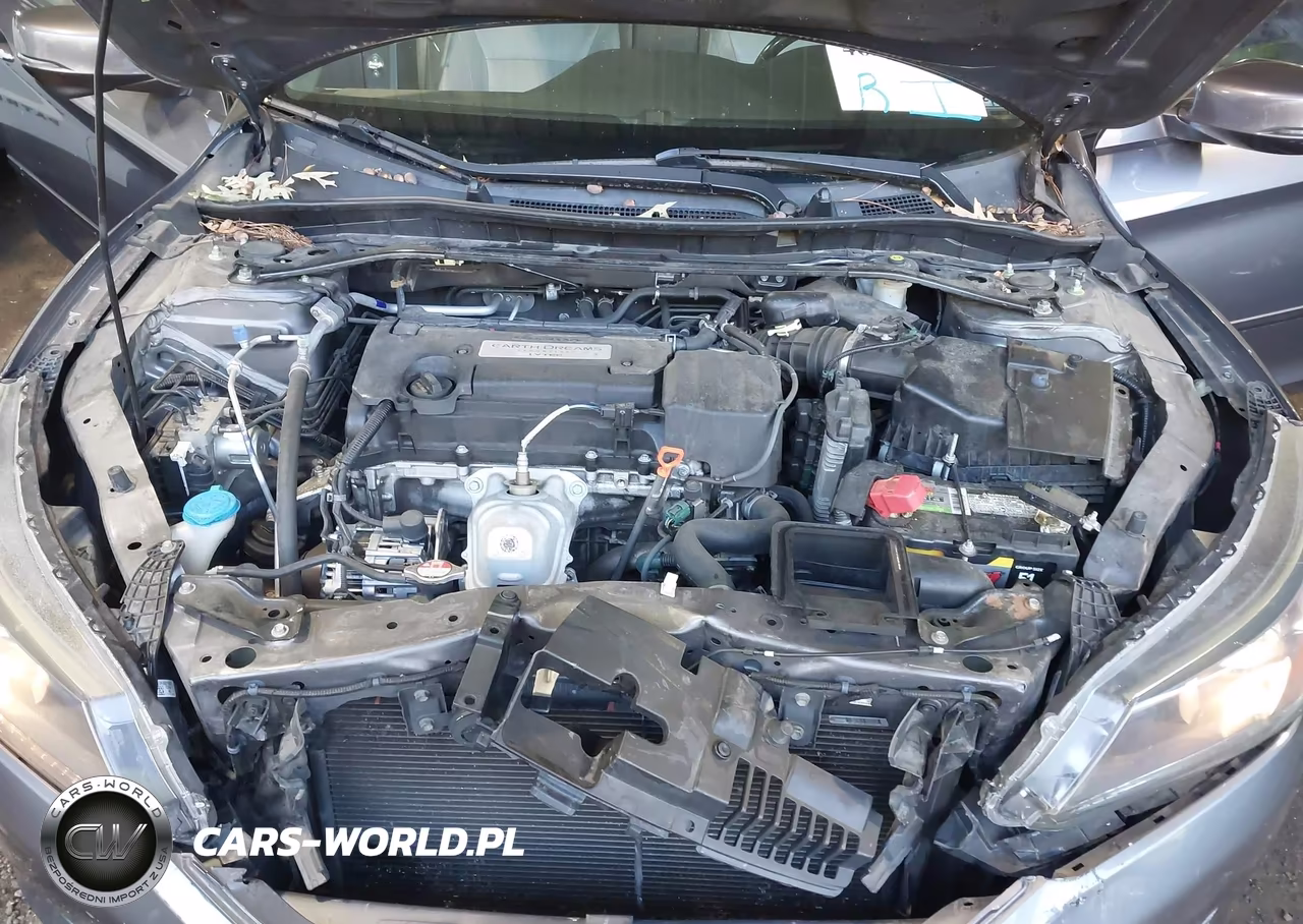 2015 Honda Accord Ex-L VIN:1HGCR2F83FA243687 - 10