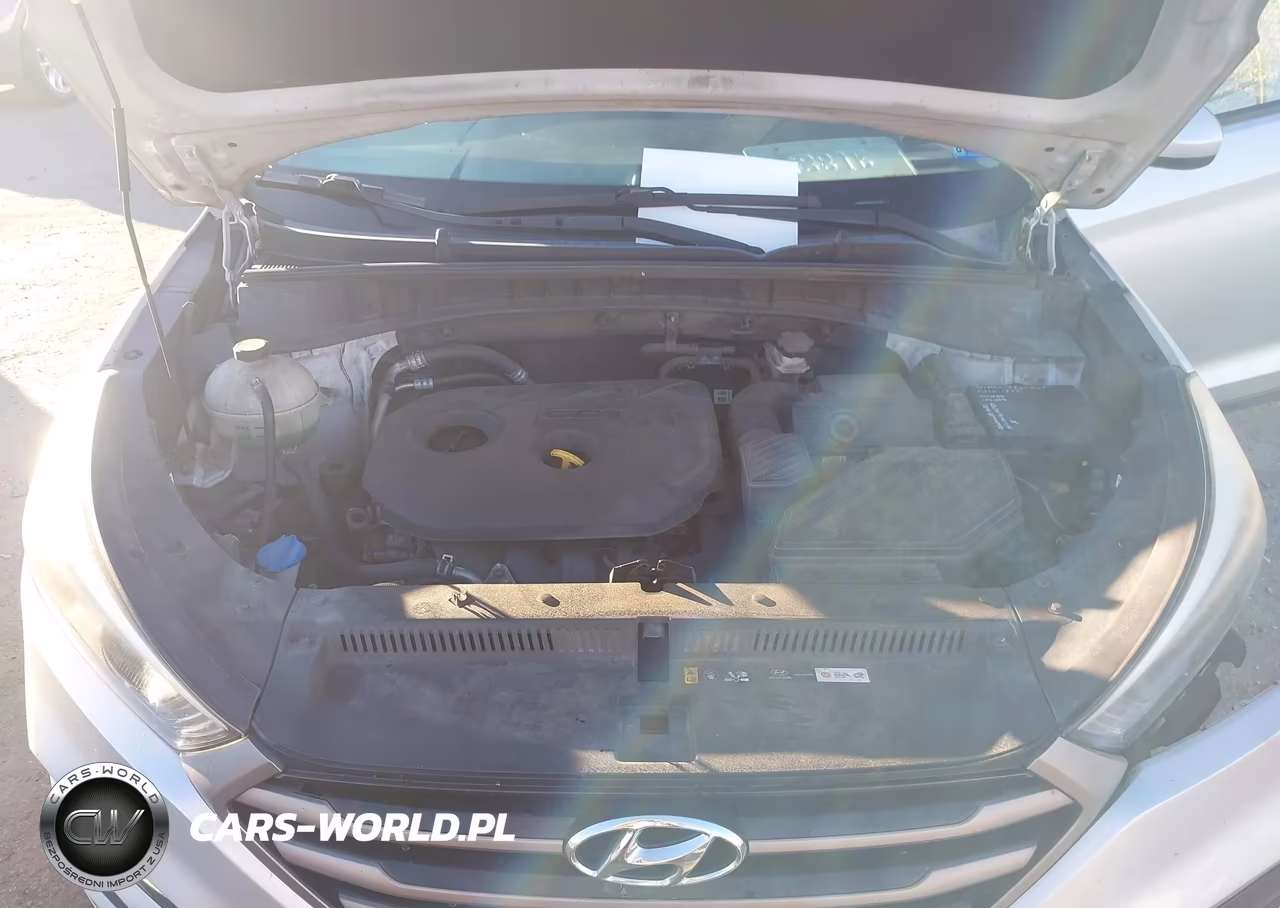 2016 Hyundai Tucson Se VIN:KM8J33A46GU203147 - 10