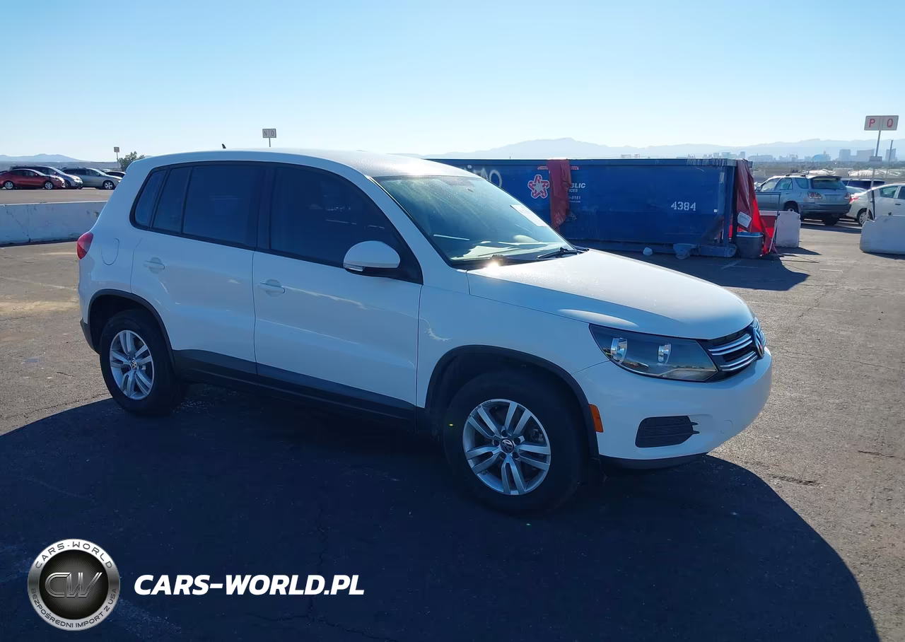 2013 Volkswagen Tiguan S VIN:WVGAV3AX1DW562409 - 1