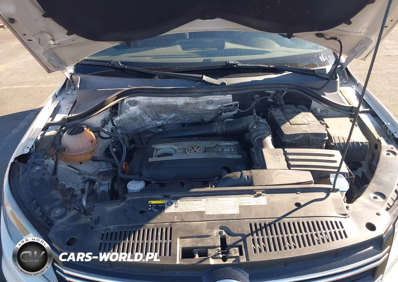 2013 Volkswagen Tiguan S VIN:WVGAV3AX1DW562409 - 10
