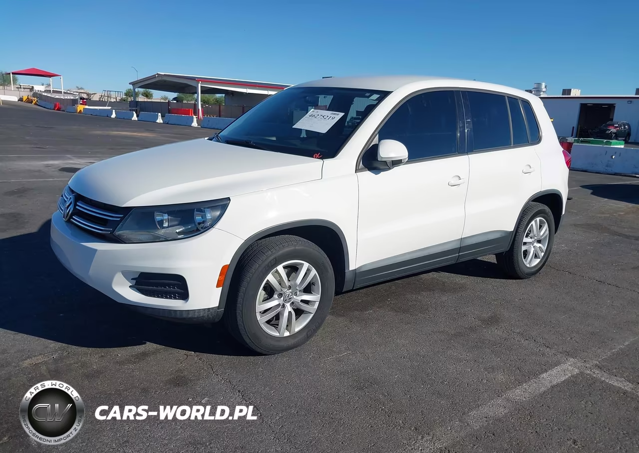 2013 Volkswagen Tiguan S VIN:WVGAV3AX1DW562409 - 2