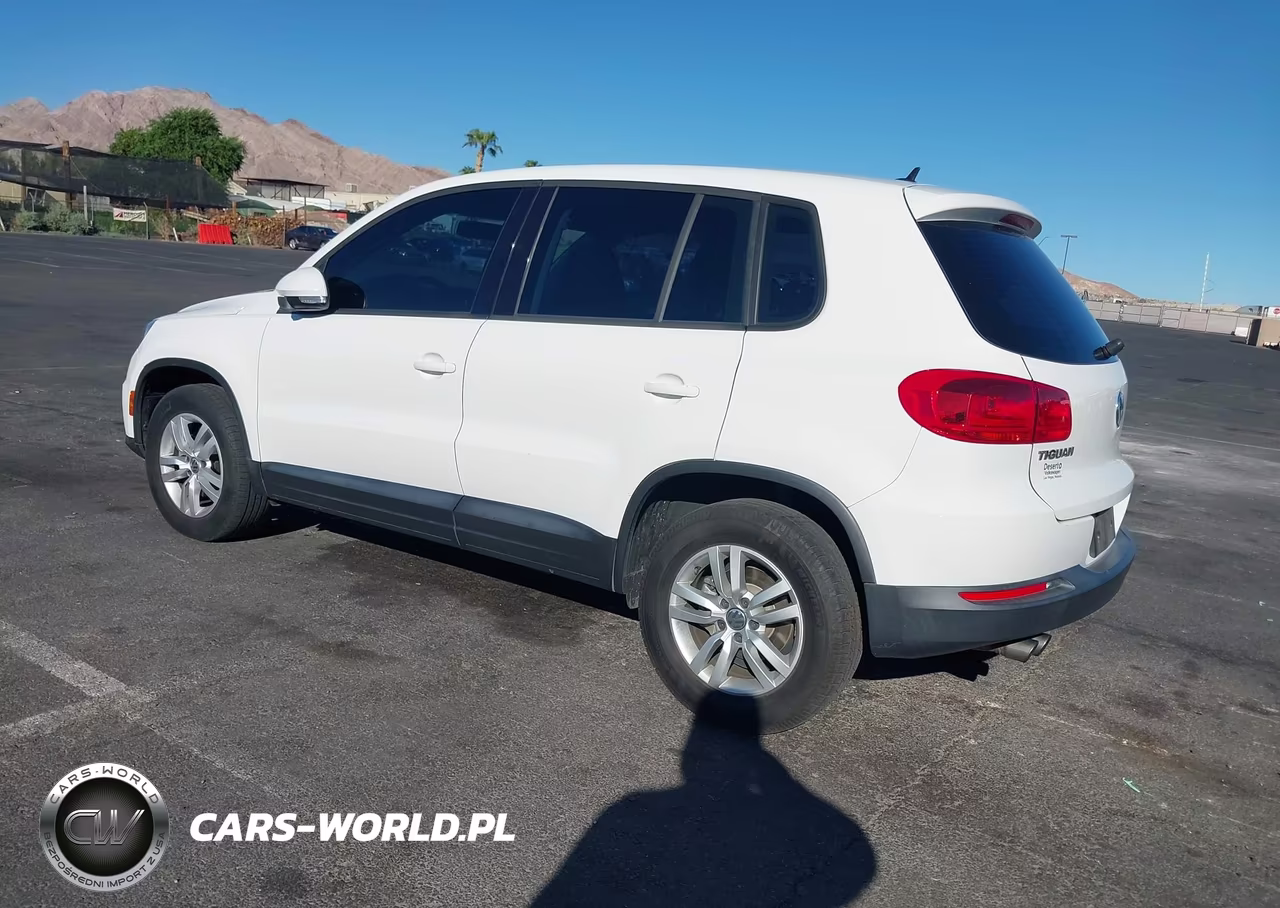 2013 Volkswagen Tiguan S VIN:WVGAV3AX1DW562409 - 3