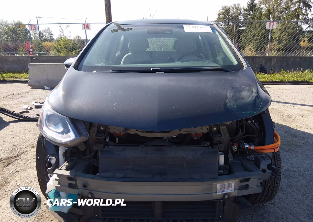2019 Chevrolet Bolt Ev Lt VIN:1G1FY6S03K4143032 - 13