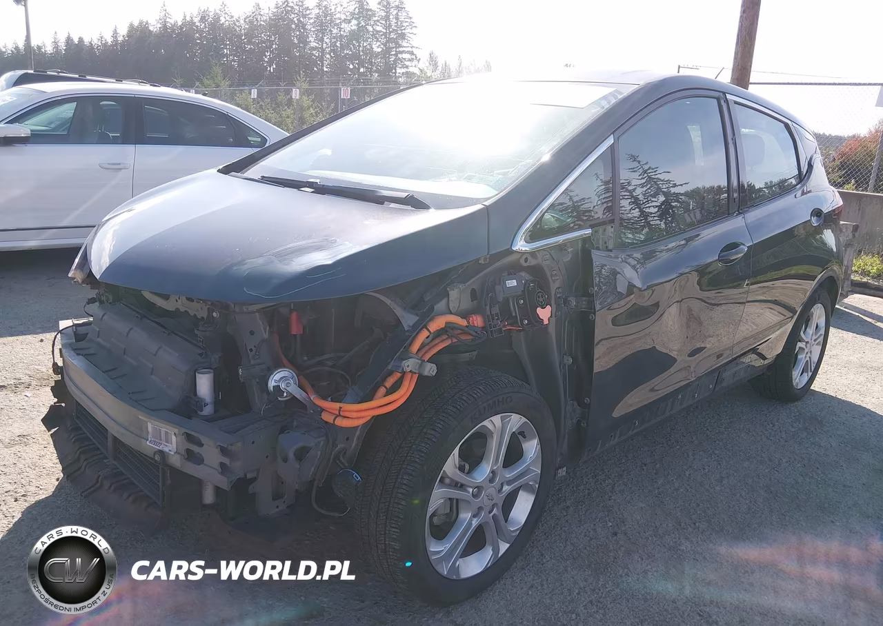 2019 Chevrolet Bolt Ev Lt VIN:1G1FY6S03K4143032 - 2