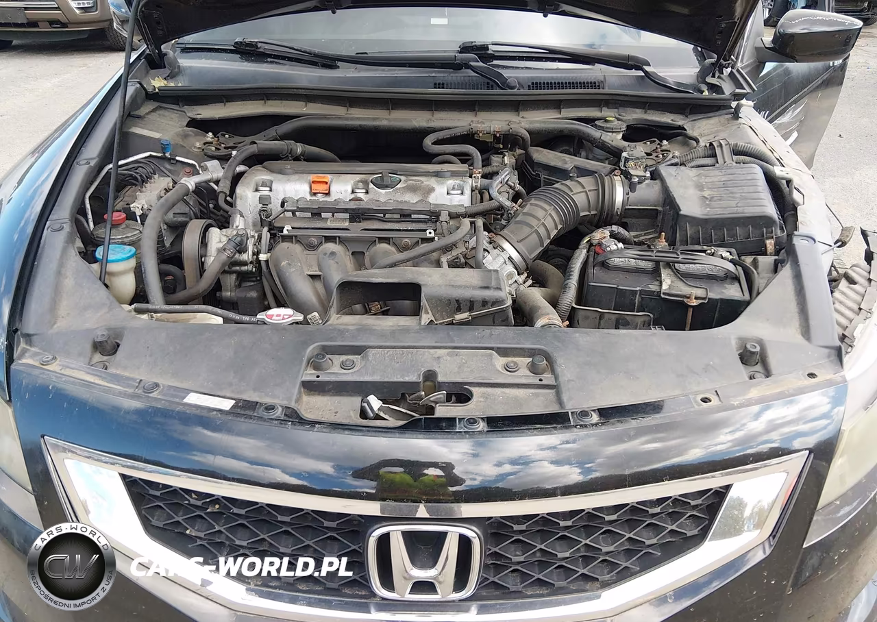 2010 Honda Accord 2.4 Ex-L VIN:1HGCS1B84AA011810 - 10
