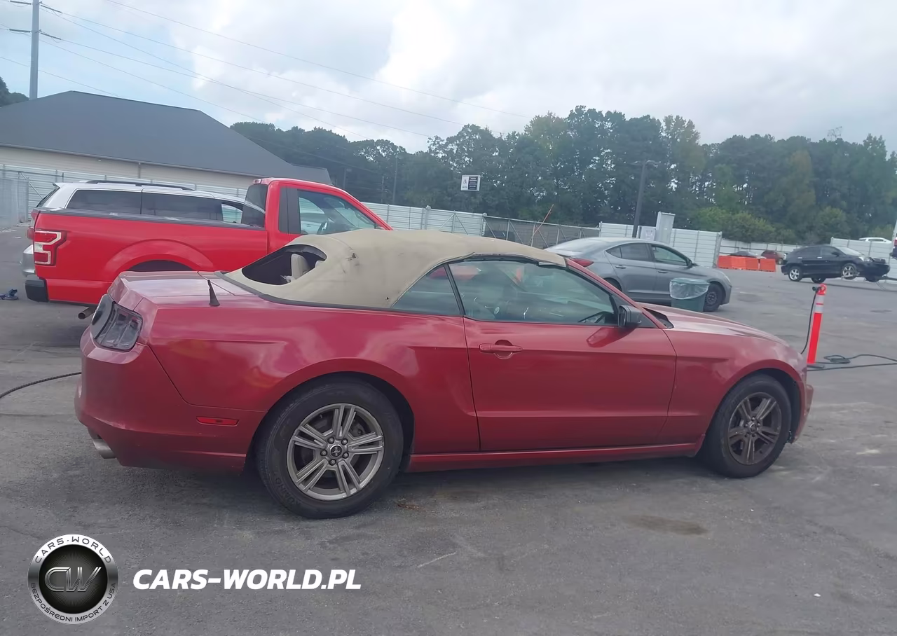 2013 Ford Mustang V6 VIN:1ZVBP8EM9D5219723 - 13