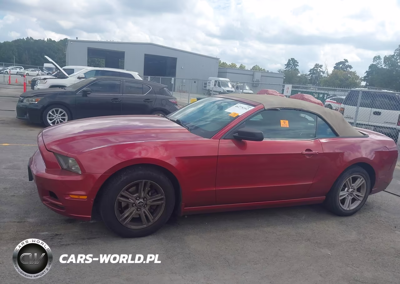 2013 Ford Mustang V6 VIN:1ZVBP8EM9D5219723 - 14