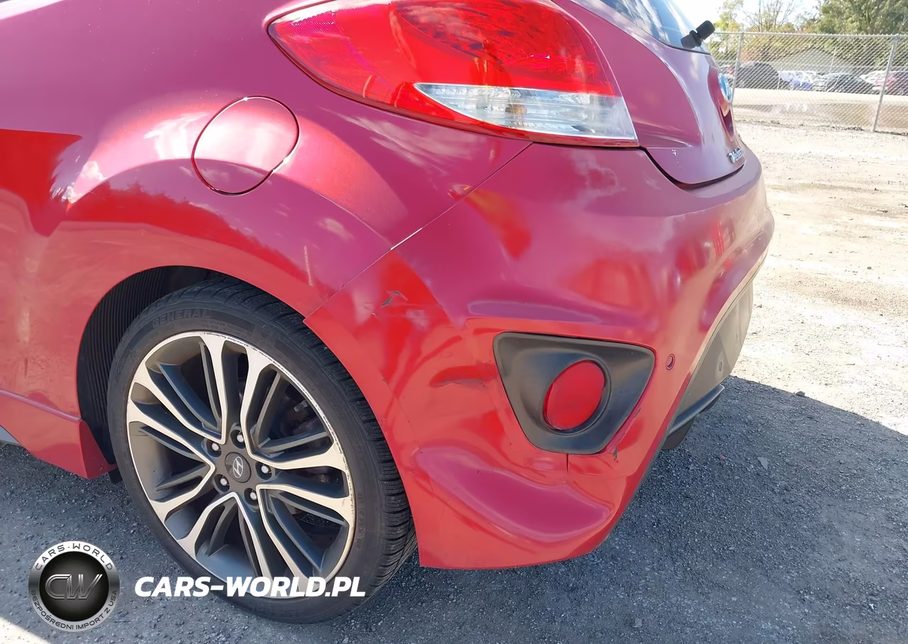 2016 Hyundai Veloster Turbo VIN:KMHTC6AE6GU299638 - 6