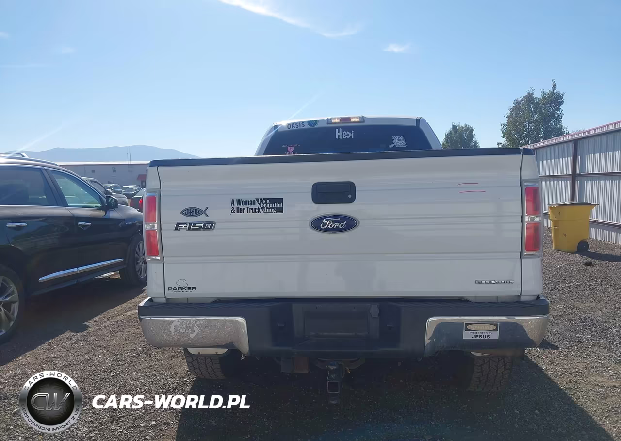 2012 Ford F-150 Xlt VIN:1FTFX1EF5CFA48765 - 15