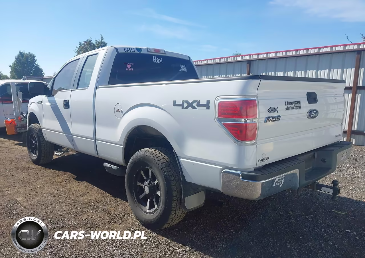 2012 Ford F-150 Xlt VIN:1FTFX1EF5CFA48765 - 3