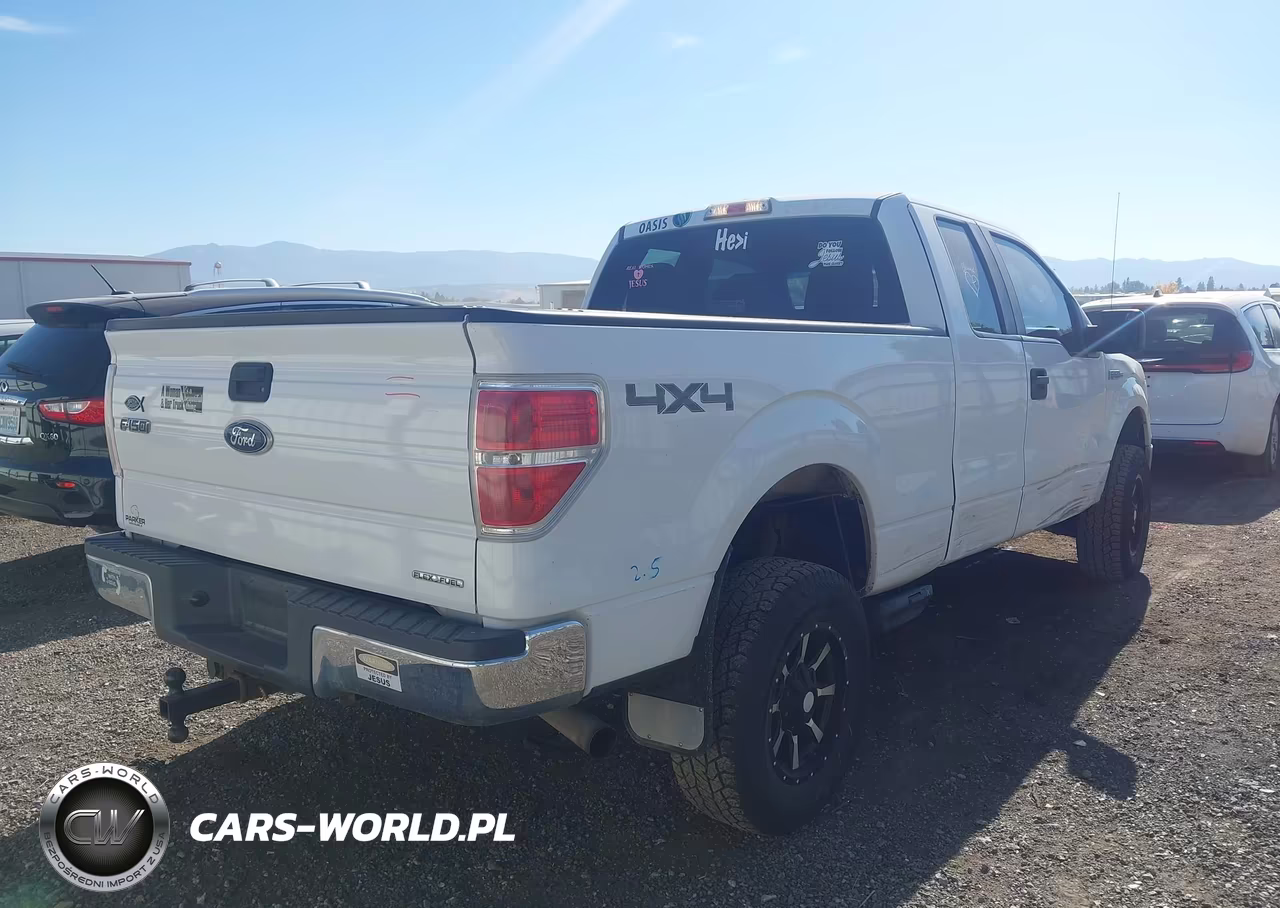 2012 Ford F-150 Xlt VIN:1FTFX1EF5CFA48765 - 4