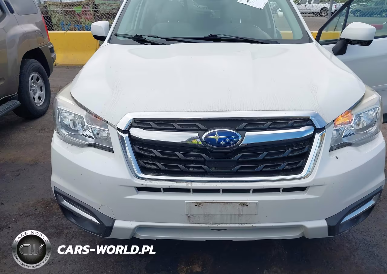 2017 Subaru Forester 2.5I Premium VIN:JF2SJAGC9HH492070 - 6