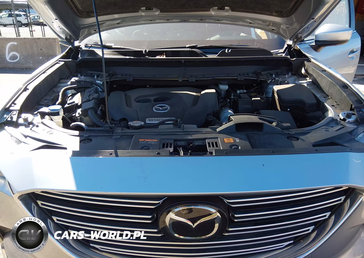 2020 Mazda Cx-9 Grand Touring VIN:JM3TCBDYXL0407108 - 10