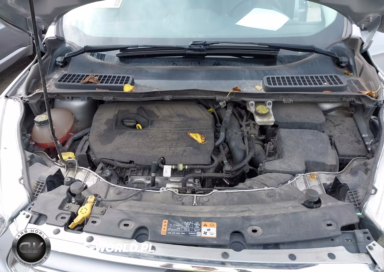 2017 Ford Escape Se VIN:1FMCU0GD5HUE05300 - 10