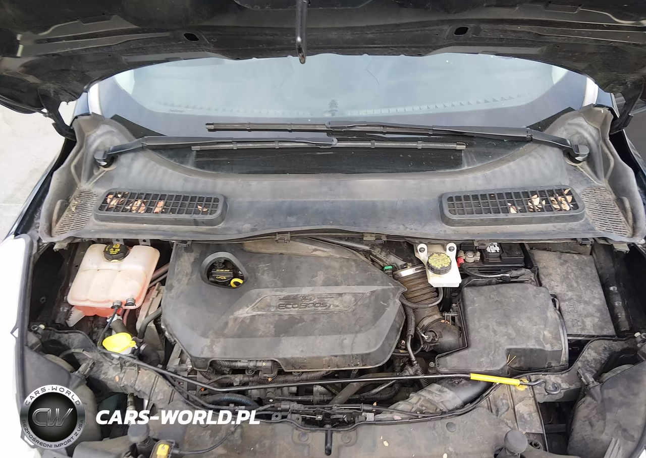 2014 Ford Escape Se VIN:1FMCU0GX1EUE50501 - 10