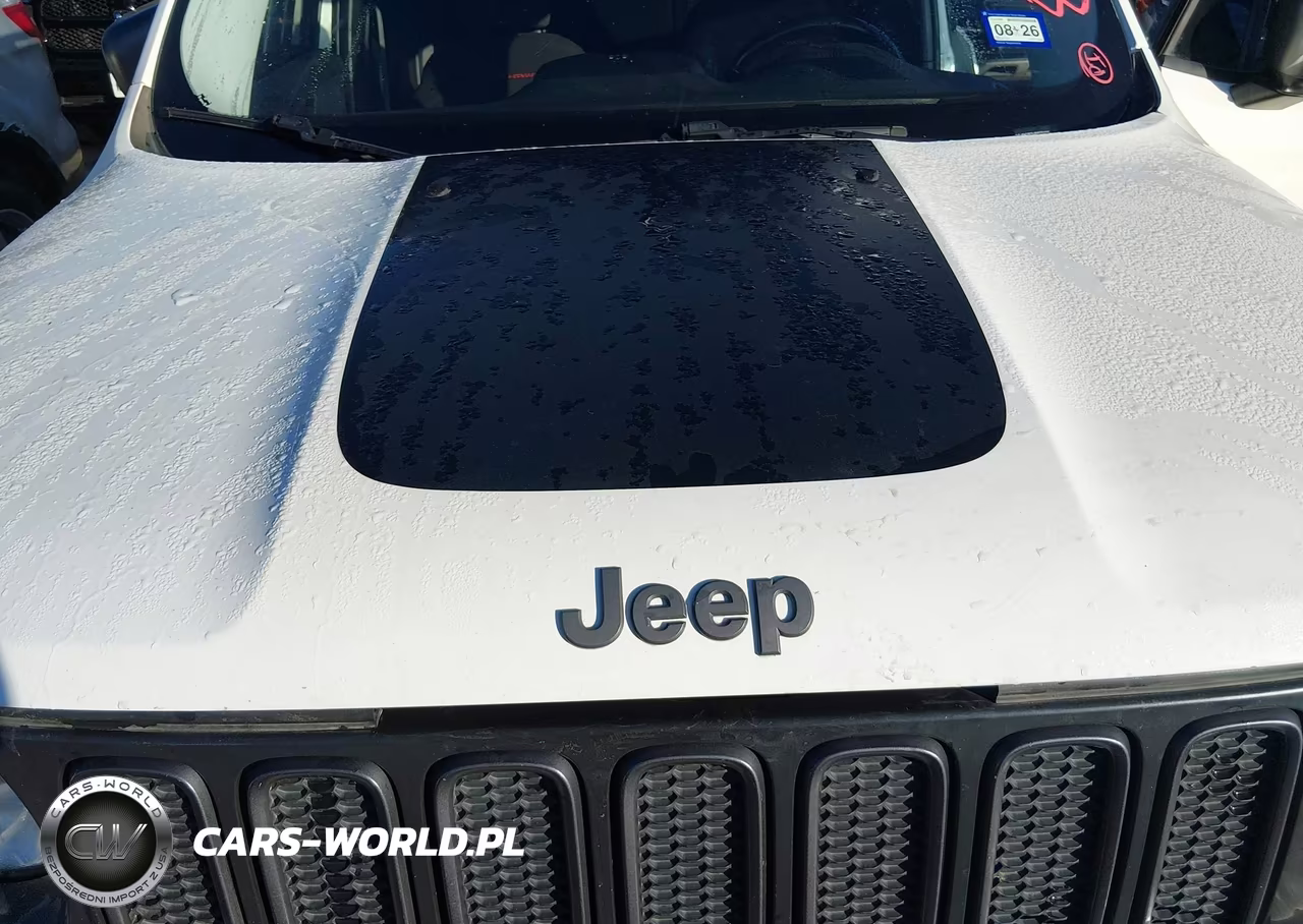 2017 Jeep Renegade Trailhawk 4X4 VIN:ZACCJBCB7HPF73065 - 10