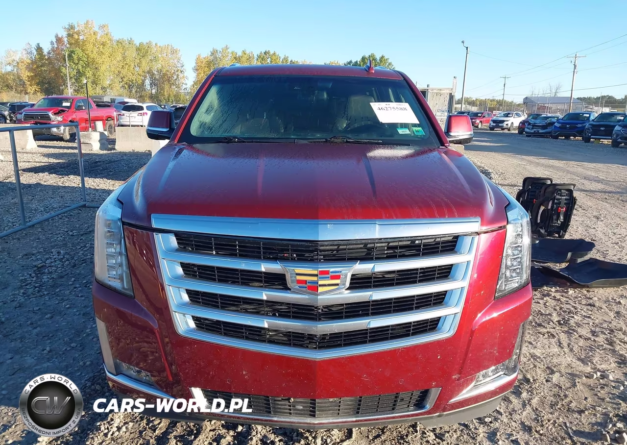 2019 Cadillac Escalade Esv Luxury VIN:1GYS4HKJ3KR284394 - 12