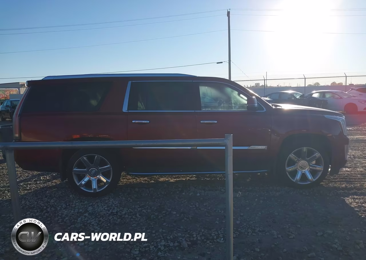 2019 Cadillac Escalade Esv Luxury VIN:1GYS4HKJ3KR284394 - 13