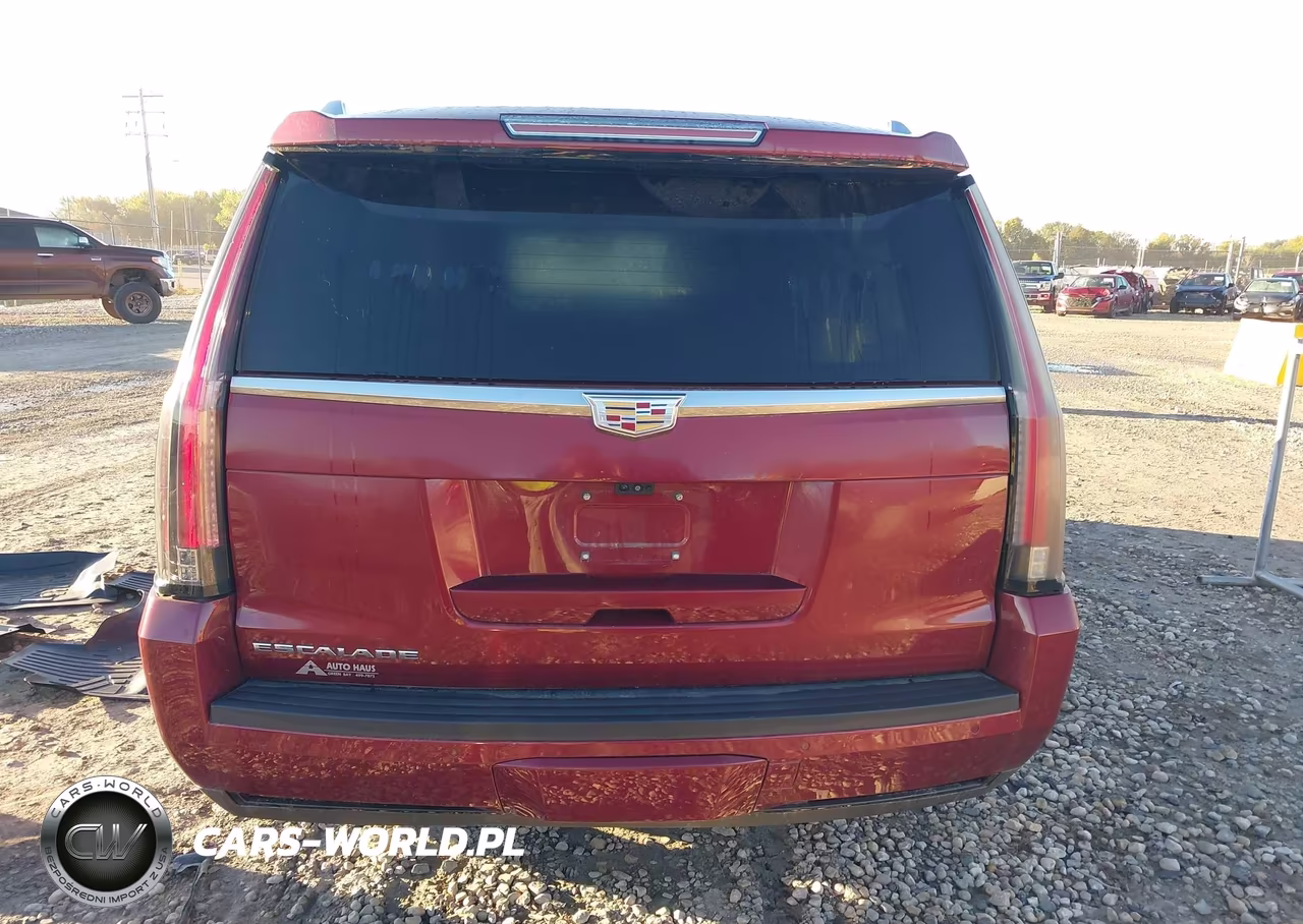 2019 Cadillac Escalade Esv Luxury VIN:1GYS4HKJ3KR284394 - 16