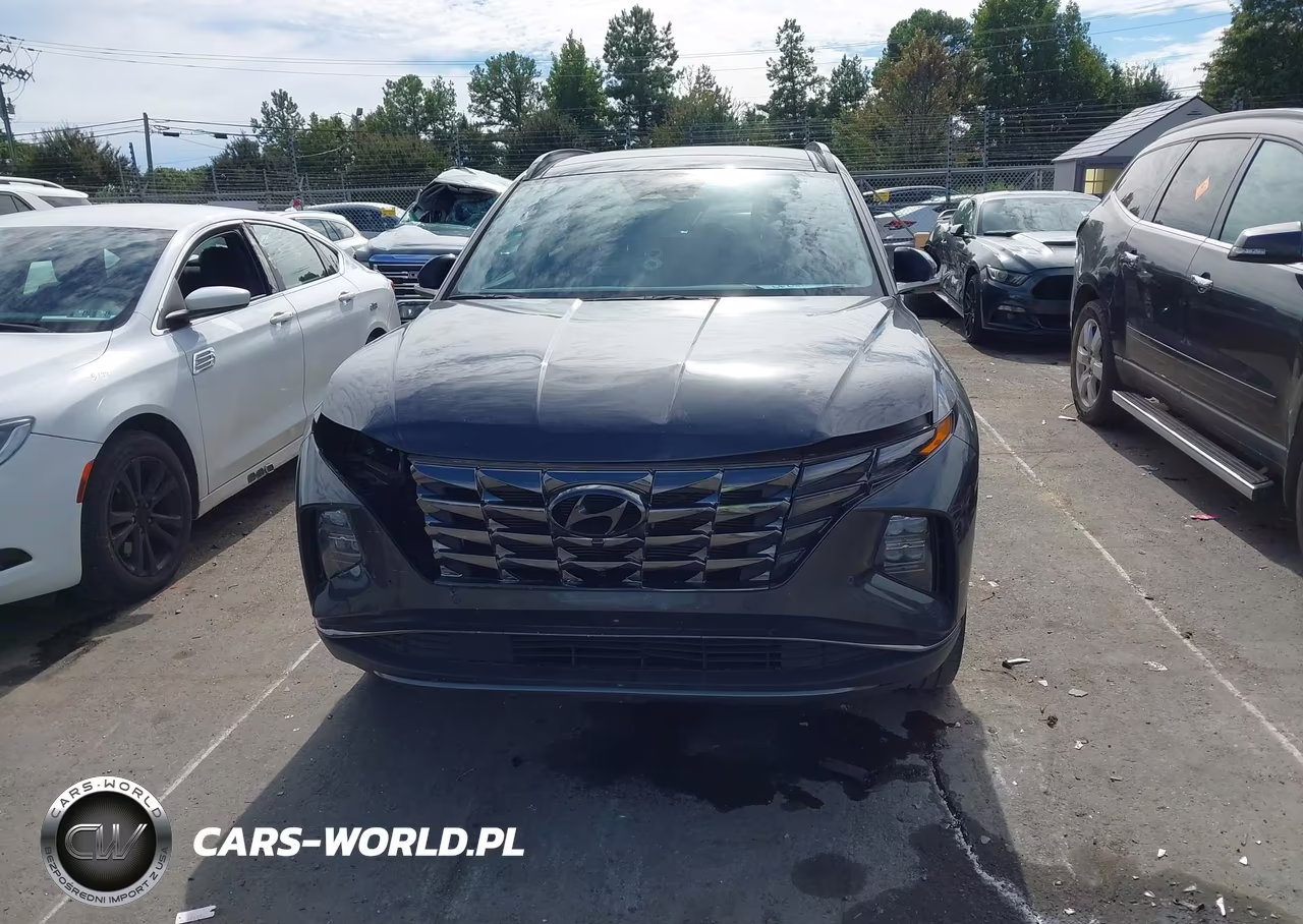 2023 Hyundai Tucson Limited VIN:5NMJECAE6PH206192 - 13