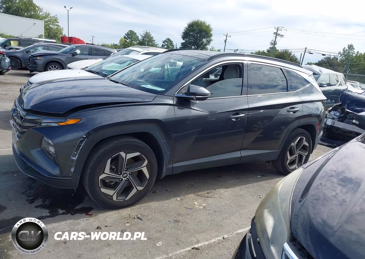 2023 Hyundai Tucson Limited VIN:5NMJECAE6PH206192 - 15