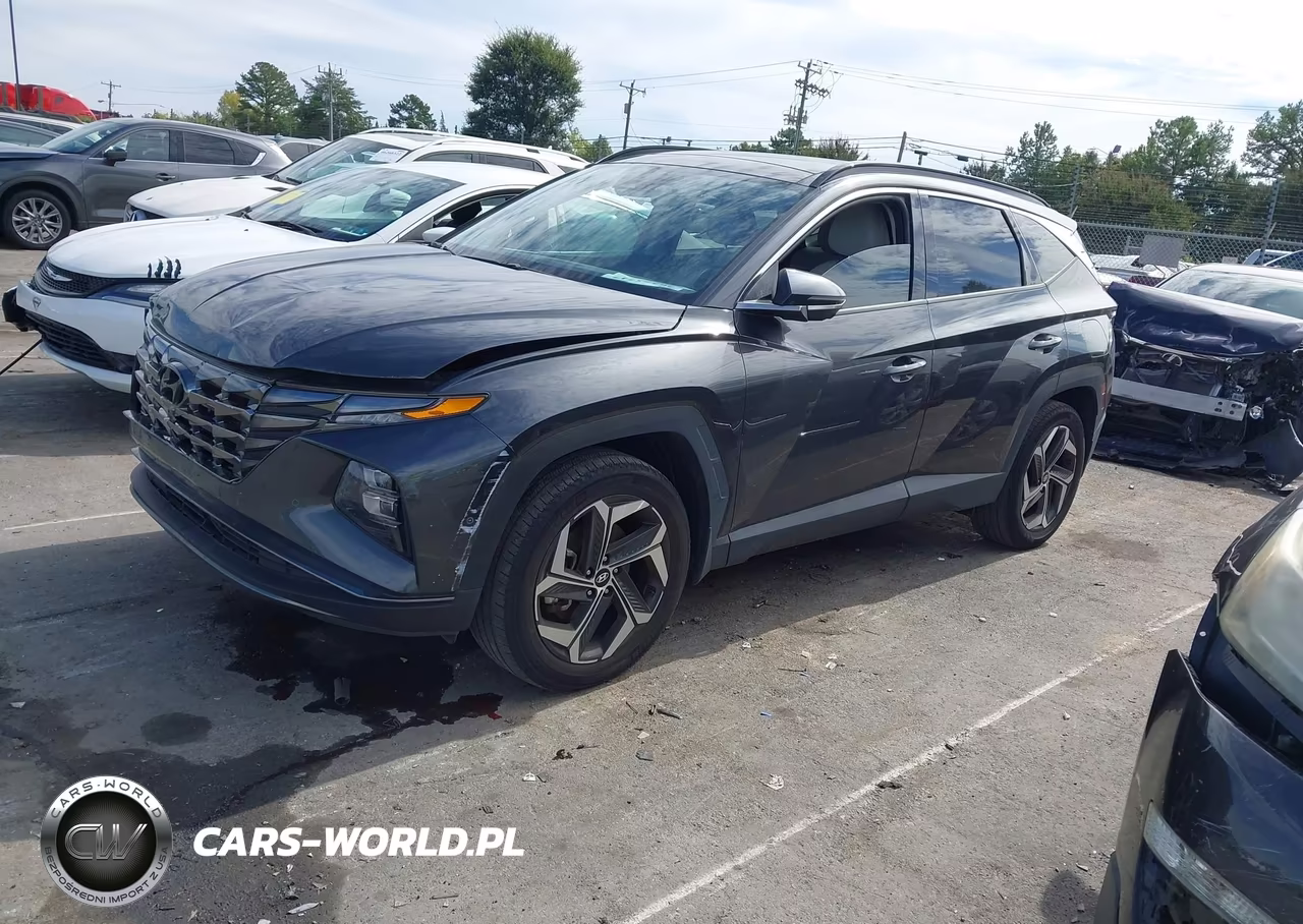 2023 Hyundai Tucson Limited VIN:5NMJECAE6PH206192 - 2
