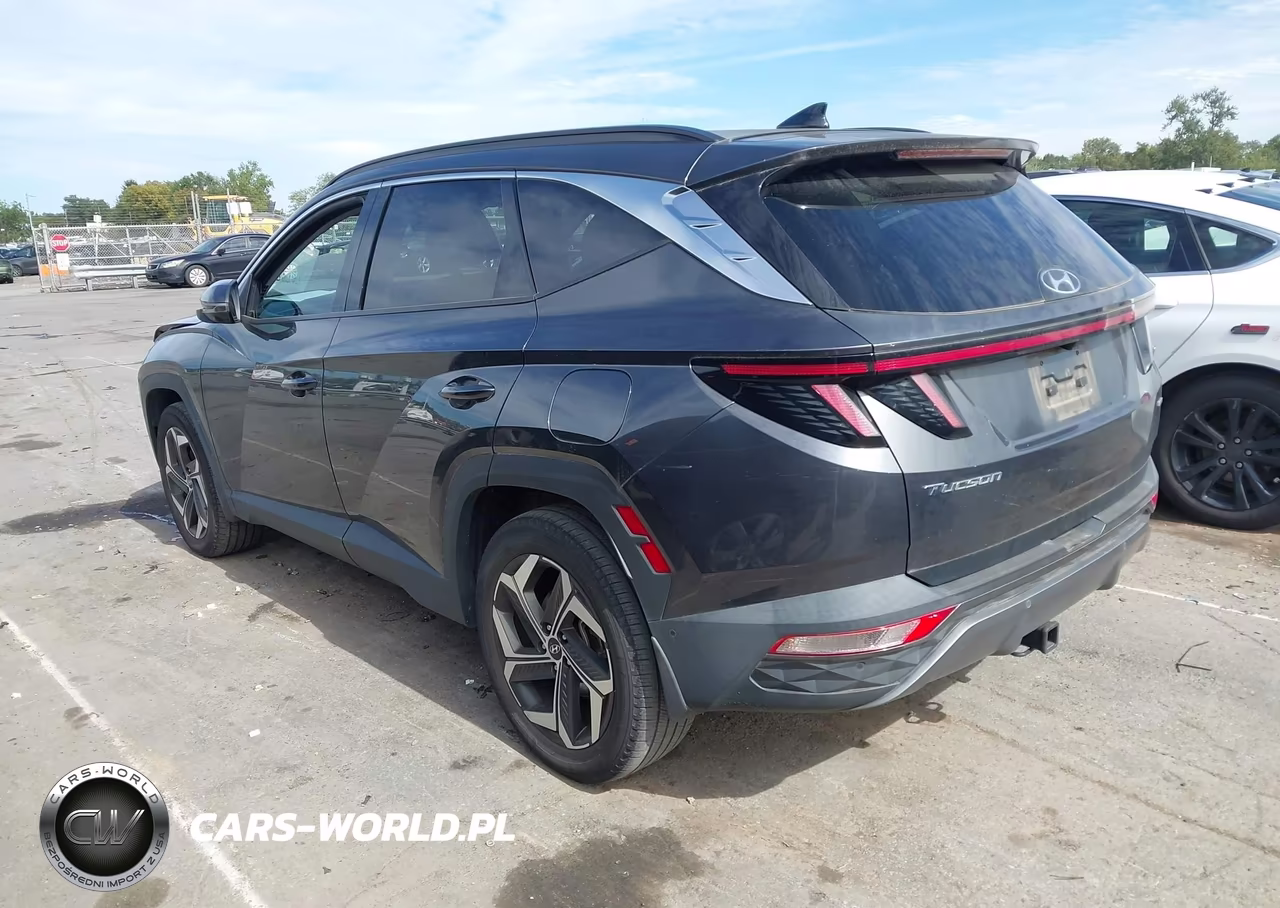 2023 Hyundai Tucson Limited VIN:5NMJECAE6PH206192 - 3