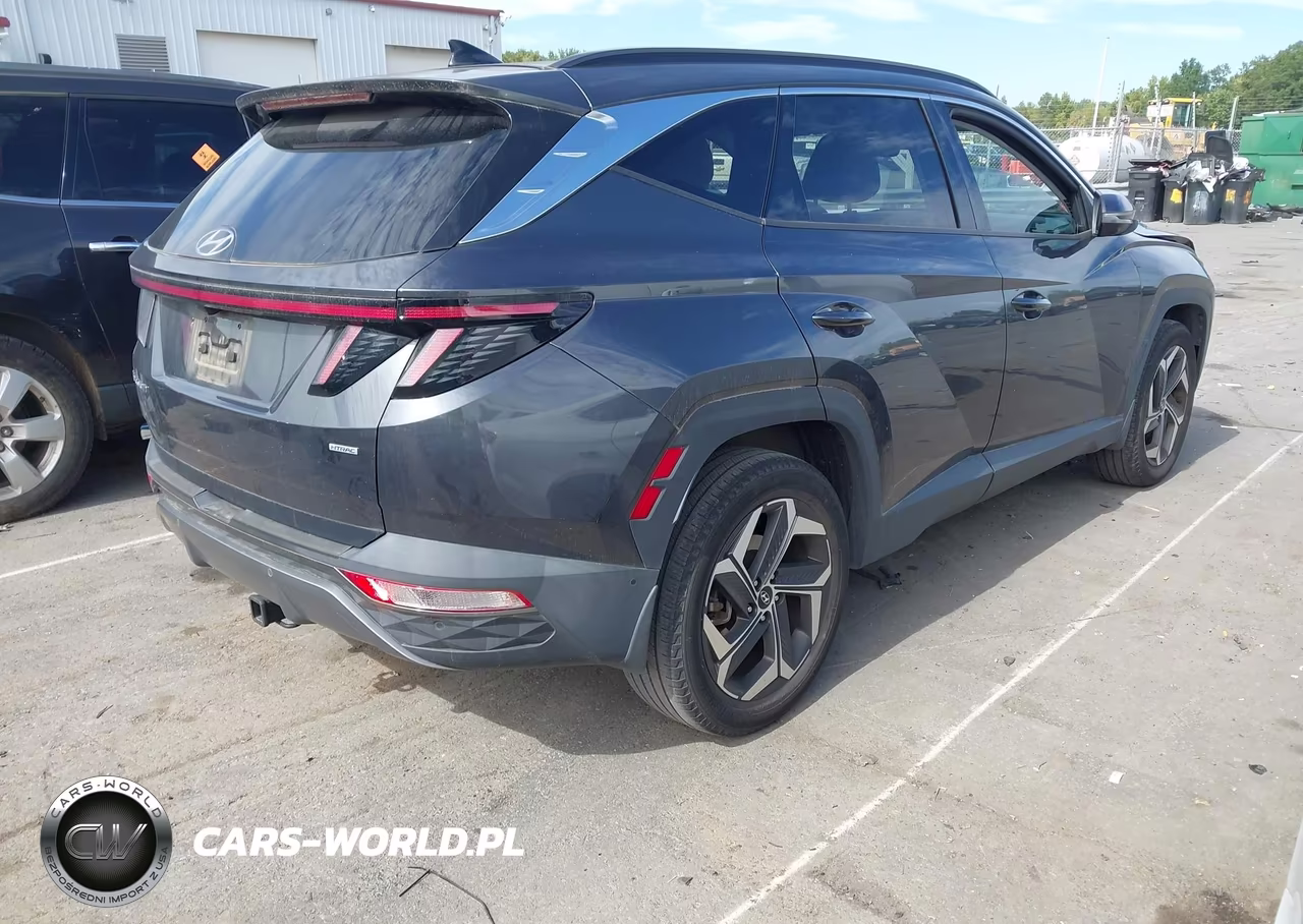 2023 Hyundai Tucson Limited VIN:5NMJECAE6PH206192 - 4
