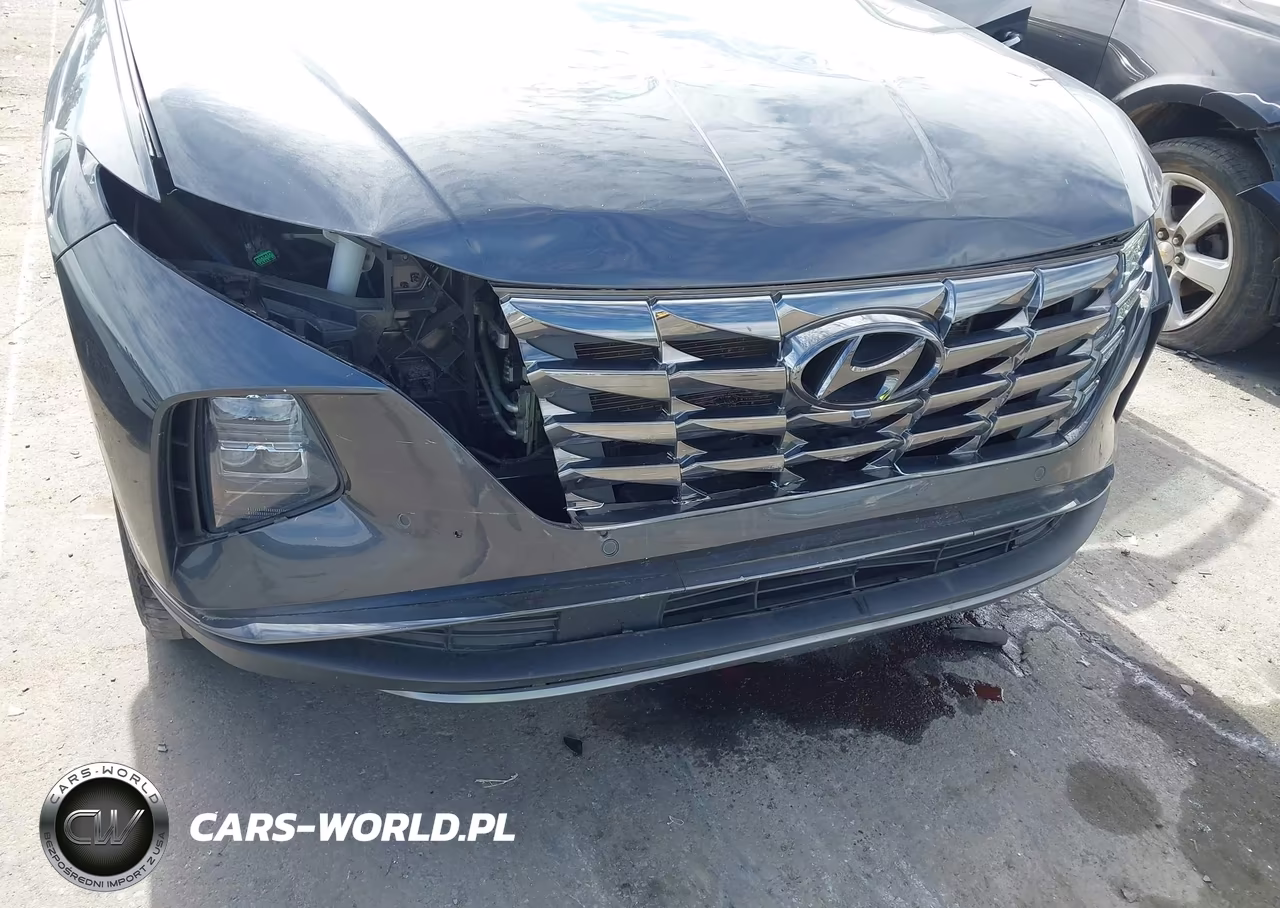 2023 Hyundai Tucson Limited VIN:5NMJECAE6PH206192 - 6