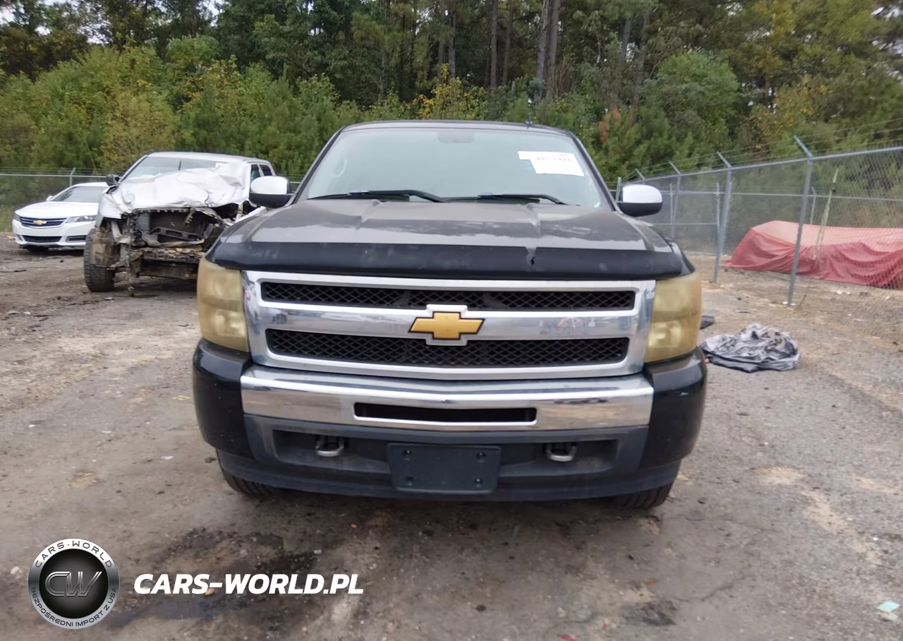 2010 Chevrolet Silverado 1500 Ls VIN:3GCRCREAXAG144124 - 13