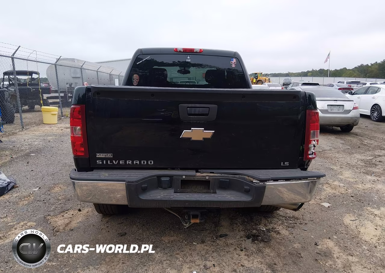 2010 Chevrolet Silverado 1500 Ls VIN:3GCRCREAXAG144124 - 17