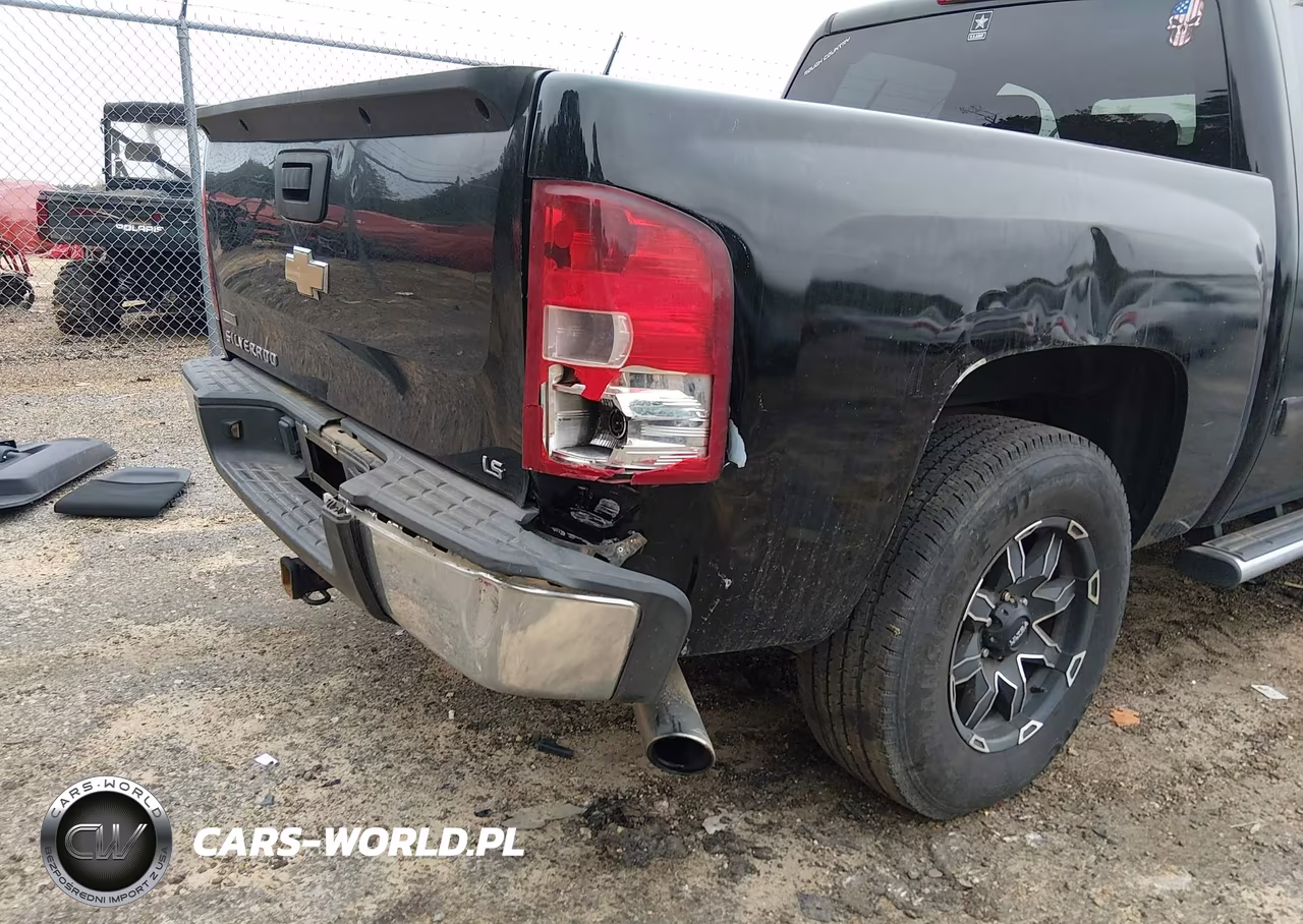 2010 Chevrolet Silverado 1500 Ls VIN:3GCRCREAXAG144124 - 18