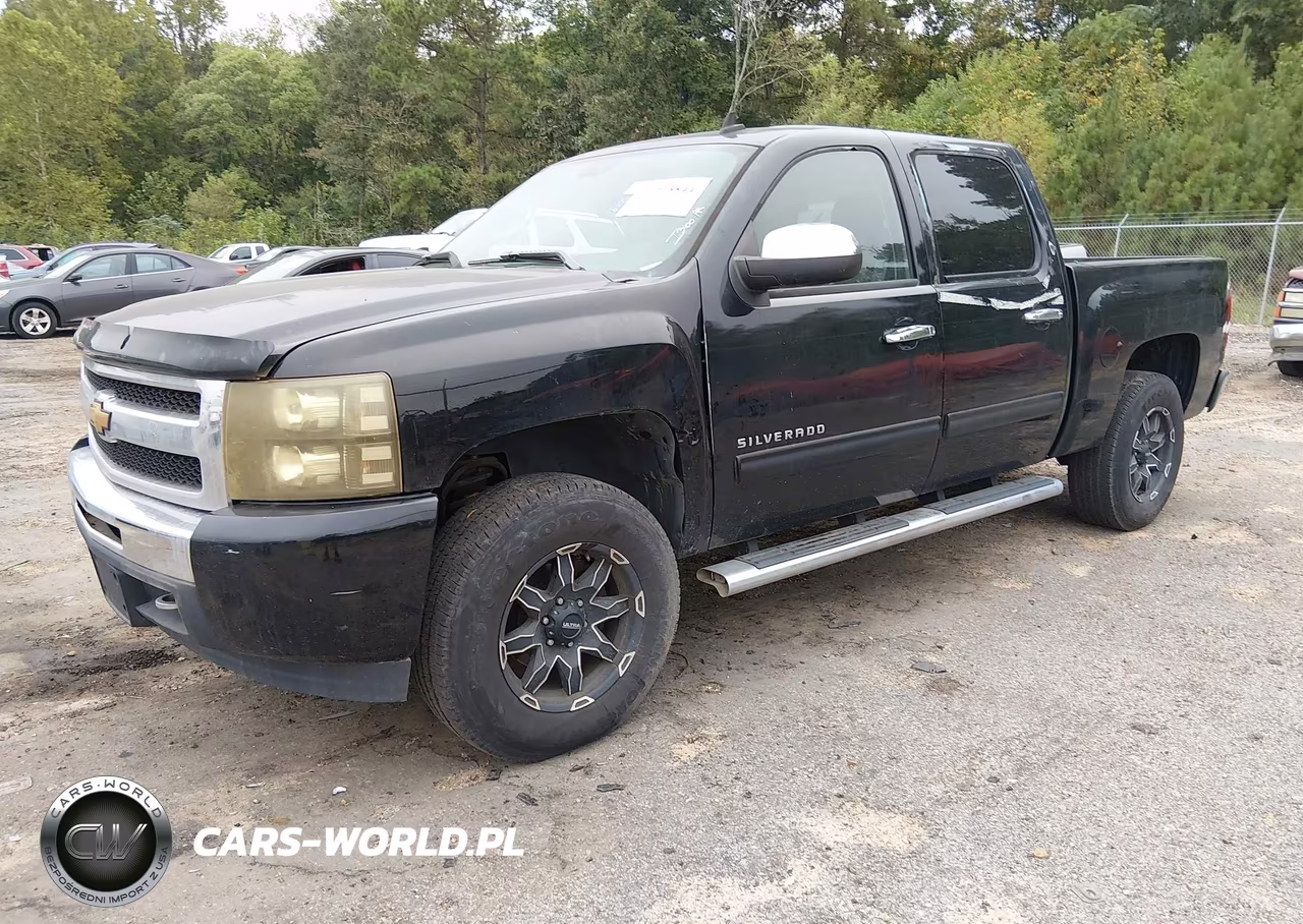 2010 Chevrolet Silverado 1500 Ls VIN:3GCRCREAXAG144124 - 2