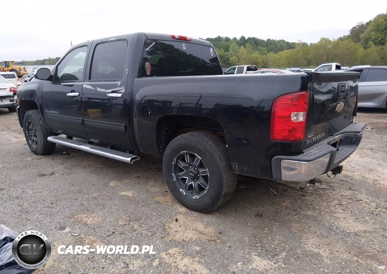 2010 Chevrolet Silverado 1500 Ls VIN:3GCRCREAXAG144124 - 3