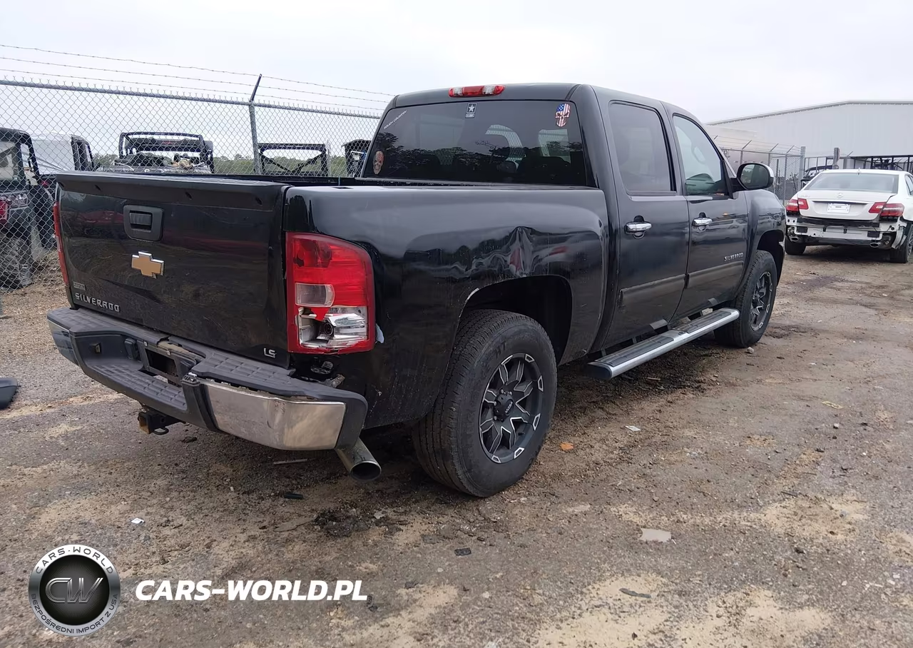 2010 Chevrolet Silverado 1500 Ls VIN:3GCRCREAXAG144124 - 4