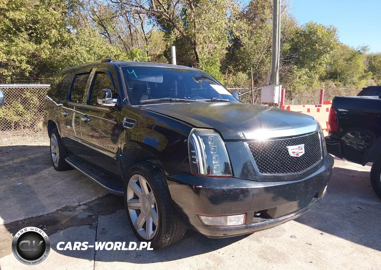 2009 Cadillac Escalade Esv Standard VIN:1GYFK26219R254599 - 1