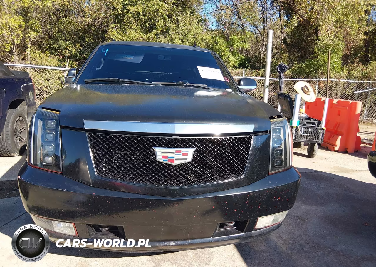 2009 Cadillac Escalade Esv Standard VIN:1GYFK26219R254599 - 12