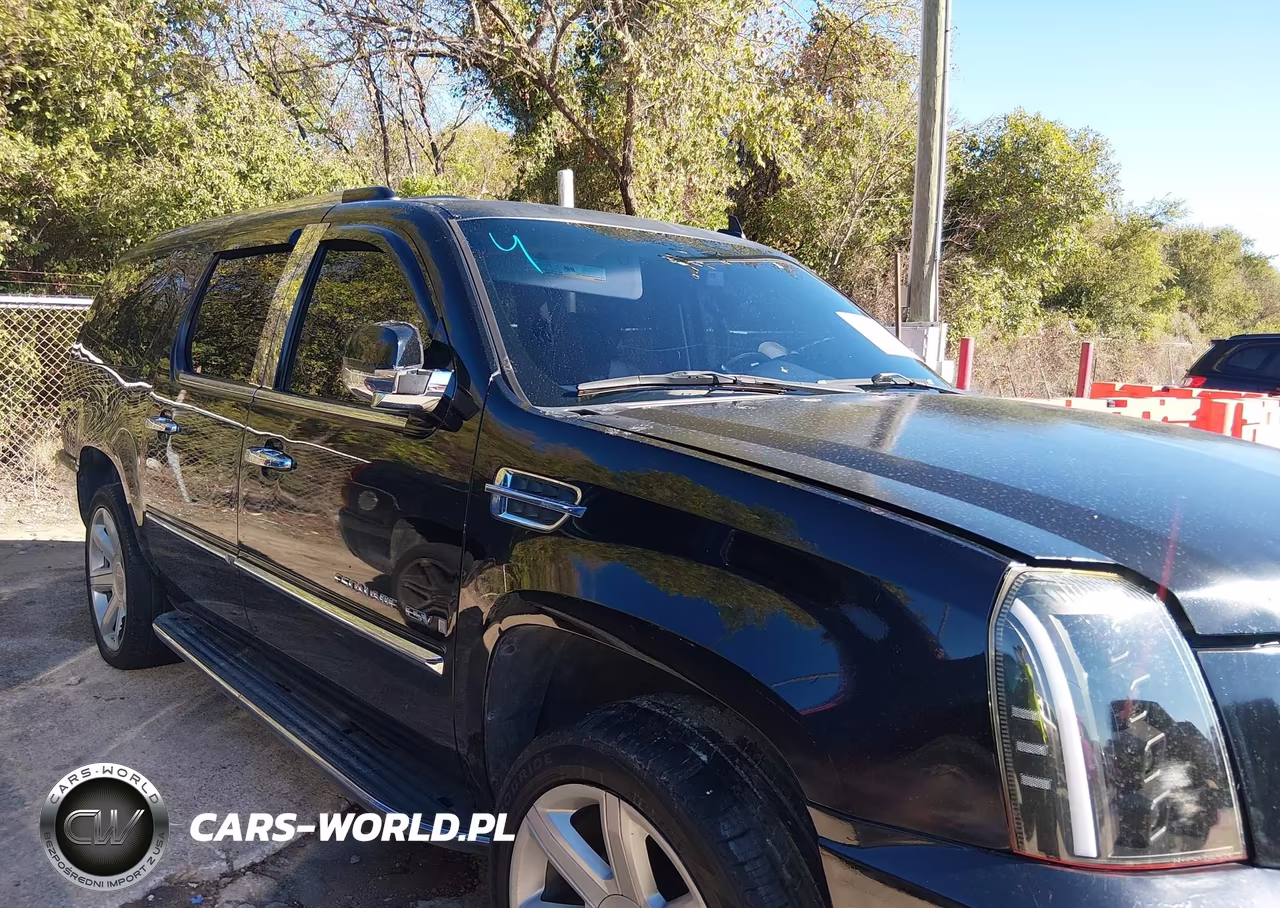 2009 Cadillac Escalade Esv Standard VIN:1GYFK26219R254599 - 13