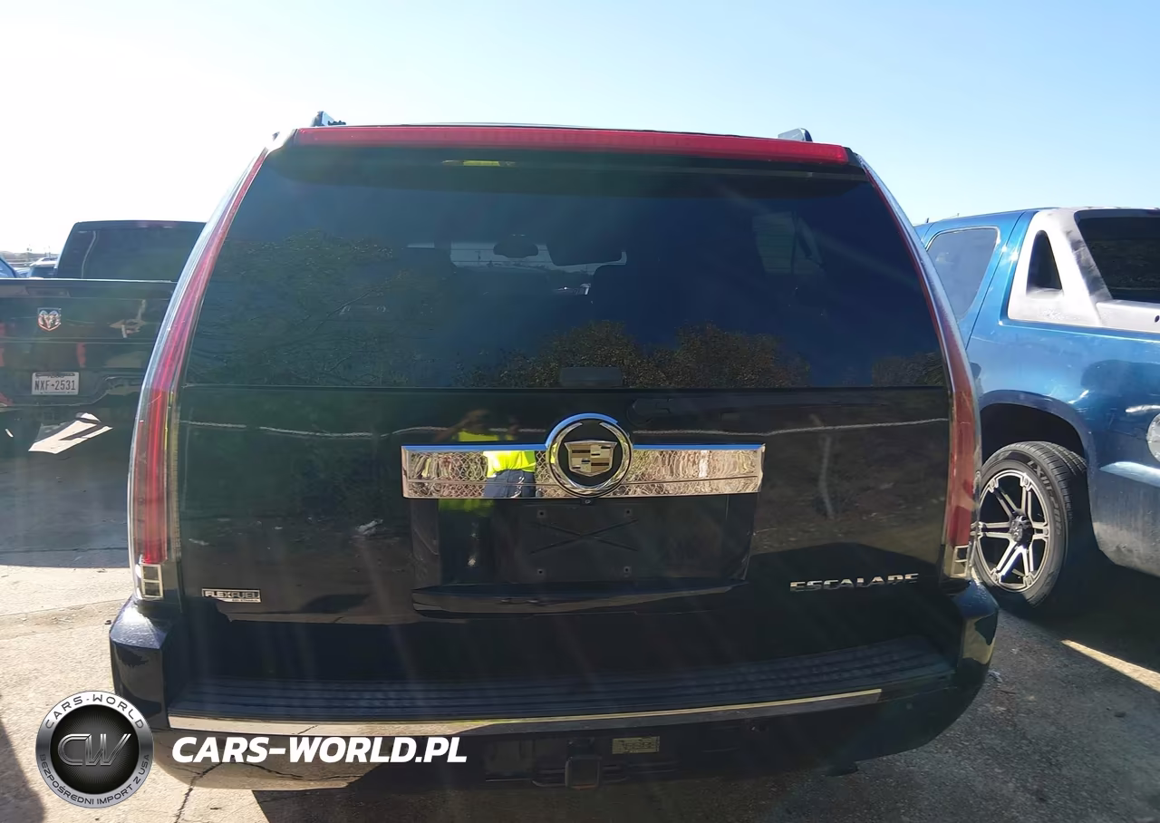 2009 Cadillac Escalade Esv Standard VIN:1GYFK26219R254599 - 16