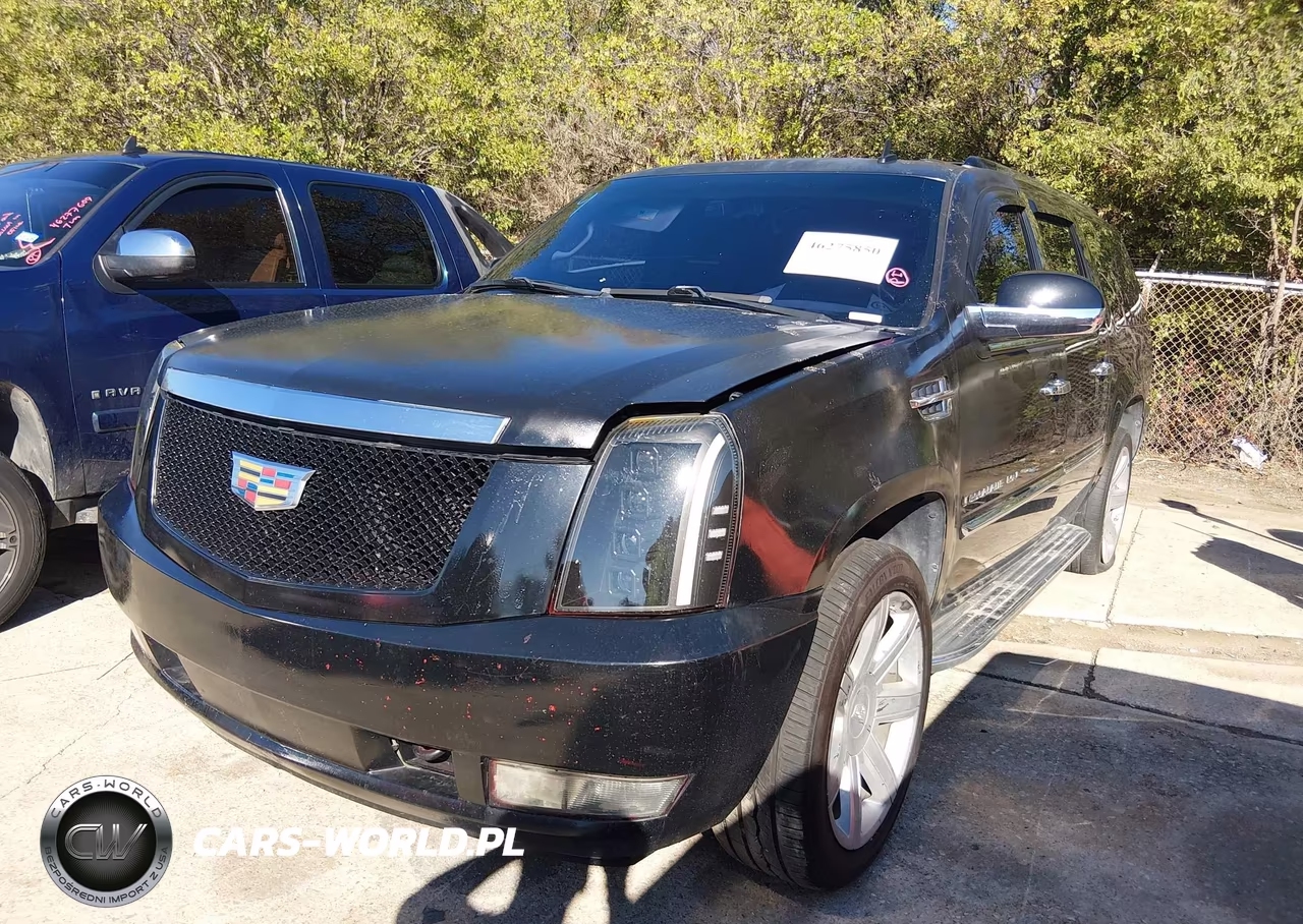 2009 Cadillac Escalade Esv Standard VIN:1GYFK26219R254599 - 2