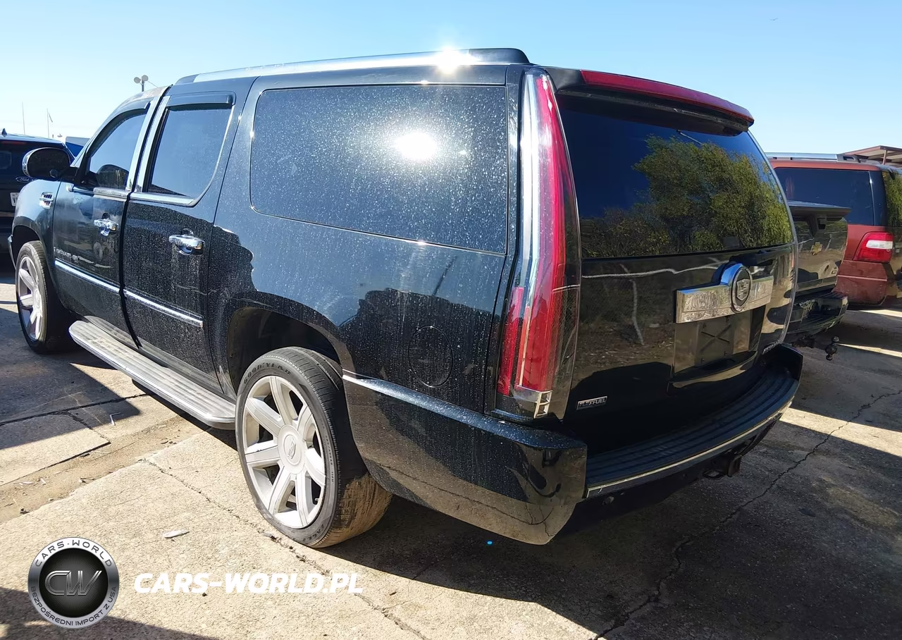 2009 Cadillac Escalade Esv Standard VIN:1GYFK26219R254599 - 3