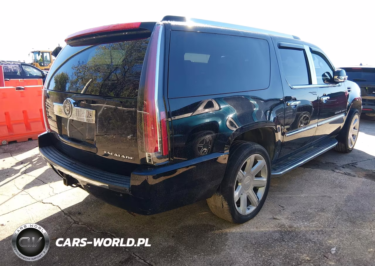2009 Cadillac Escalade Esv Standard VIN:1GYFK26219R254599 - 4